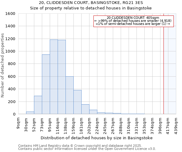 20, CLIDDESDEN COURT, BASINGSTOKE, RG21 3ES: Size of property relative to detached houses houses in Basingstoke