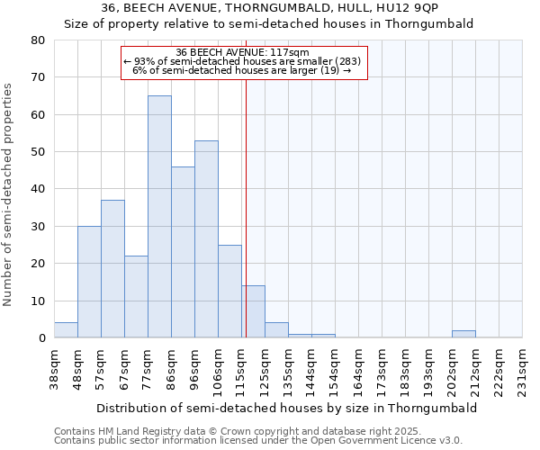 36, BEECH AVENUE, THORNGUMBALD, HULL, HU12 9QP: Size of property relative to semi-detached houses houses in Thorngumbald