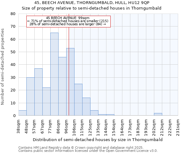 45, BEECH AVENUE, THORNGUMBALD, HULL, HU12 9QP: Size of property relative to semi-detached houses houses in Thorngumbald