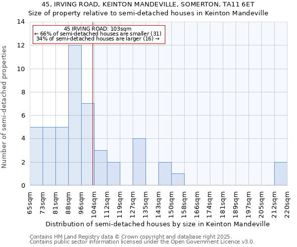 45, IRVING ROAD, KEINTON MANDEVILLE, SOMERTON, TA11 6ET: Size of property relative to semi-detached houses houses in Keinton Mandeville