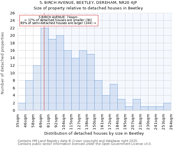 5, BIRCH AVENUE, BEETLEY, DEREHAM, NR20 4JP: Size of property relative to detached houses houses in Beetley