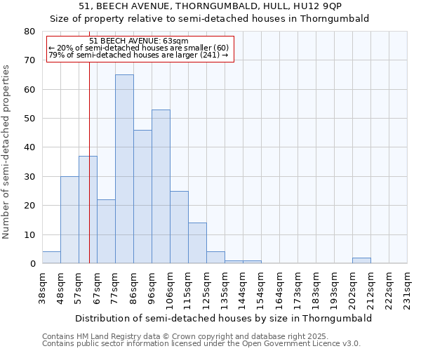 51, BEECH AVENUE, THORNGUMBALD, HULL, HU12 9QP: Size of property relative to semi-detached houses houses in Thorngumbald