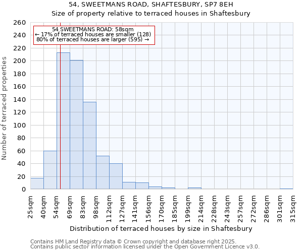 54, SWEETMANS ROAD, SHAFTESBURY, SP7 8EH: Size of property relative to terraced houses houses in Shaftesbury