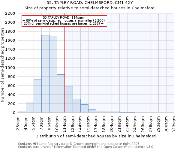 55, TAPLEY ROAD, CHELMSFORD, CM1 4XY: Size of property relative to semi-detached houses houses in Chelmsford