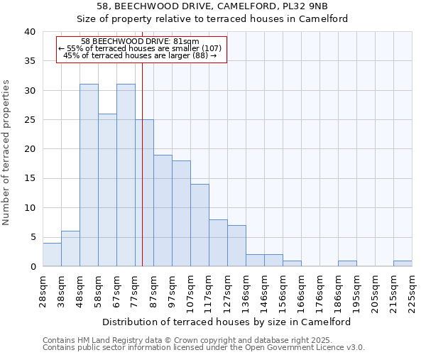 58, BEECHWOOD DRIVE, CAMELFORD, PL32 9NB: Size of property relative to terraced houses houses in Camelford