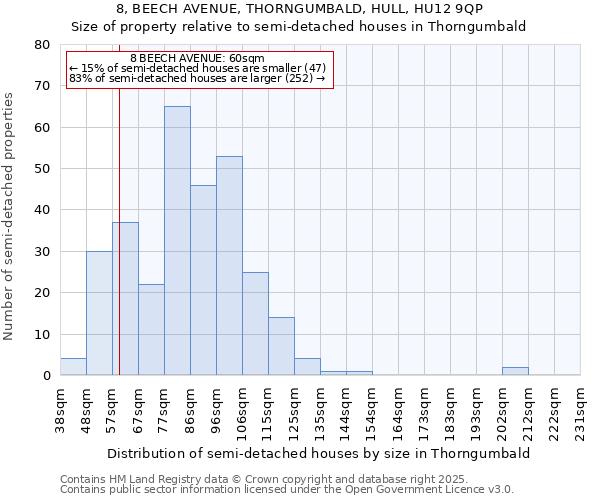 8, BEECH AVENUE, THORNGUMBALD, HULL, HU12 9QP: Size of property relative to semi-detached houses houses in Thorngumbald