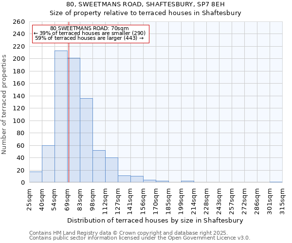 80, SWEETMANS ROAD, SHAFTESBURY, SP7 8EH: Size of property relative to terraced houses houses in Shaftesbury