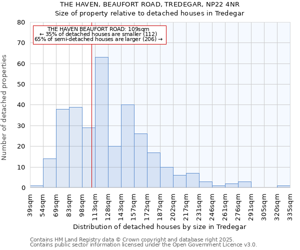 THE HAVEN, BEAUFORT ROAD, TREDEGAR, NP22 4NR: Size of property relative to detached houses houses in Tredegar