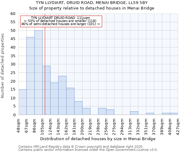 TYN LLYDIART, DRUID ROAD, MENAI BRIDGE, LL59 5BY: Size of property relative to detached houses houses in Menai Bridge