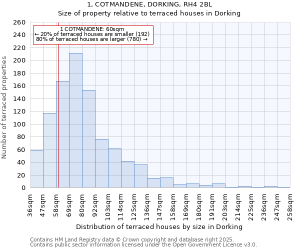 1, COTMANDENE, DORKING, RH4 2BL: Size of property relative to terraced houses houses in Dorking