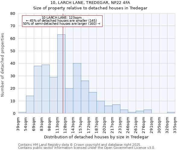 10, LARCH LANE, TREDEGAR, NP22 4FA: Size of property relative to detached houses houses in Tredegar