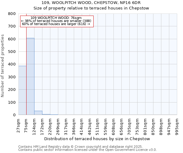 109, WOOLPITCH WOOD, CHEPSTOW, NP16 6DR: Size of property relative to terraced houses houses in Chepstow