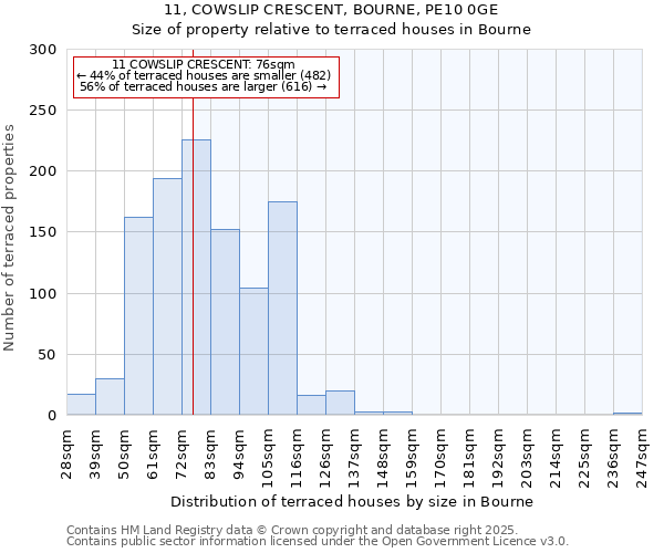 11, COWSLIP CRESCENT, BOURNE, PE10 0GE: Size of property relative to terraced houses houses in Bourne