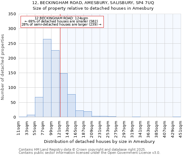 12, BECKINGHAM ROAD, AMESBURY, SALISBURY, SP4 7UQ: Size of property relative to detached houses houses in Amesbury