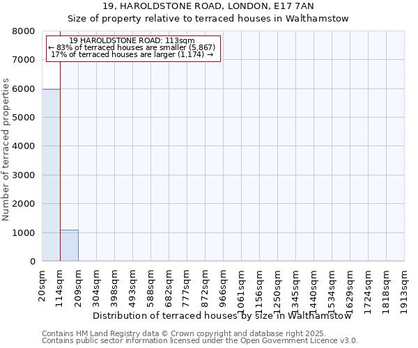 19, HAROLDSTONE ROAD, LONDON, E17 7AN: Size of property relative to terraced houses houses in Walthamstow