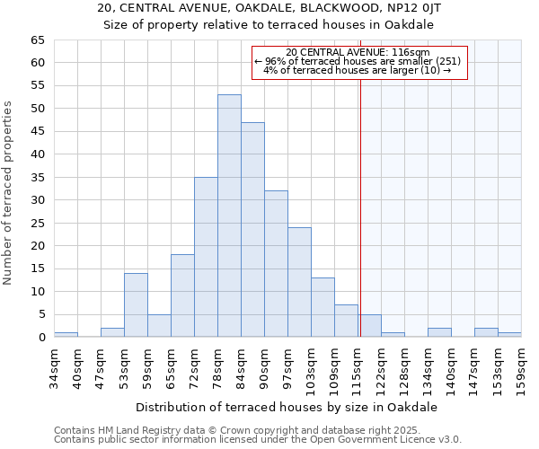 20, CENTRAL AVENUE, OAKDALE, BLACKWOOD, NP12 0JT: Size of property relative to terraced houses houses in Oakdale