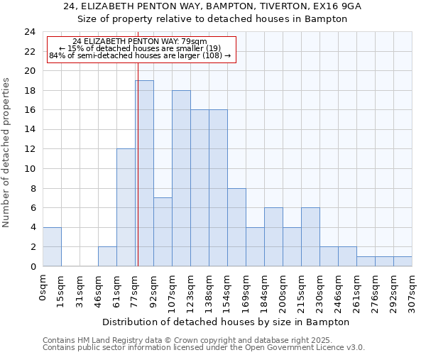 24, ELIZABETH PENTON WAY, BAMPTON, TIVERTON, EX16 9GA: Size of property relative to detached houses houses in Bampton