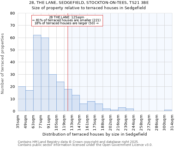28, THE LANE, SEDGEFIELD, STOCKTON-ON-TEES, TS21 3BE: Size of property relative to terraced houses houses in Sedgefield