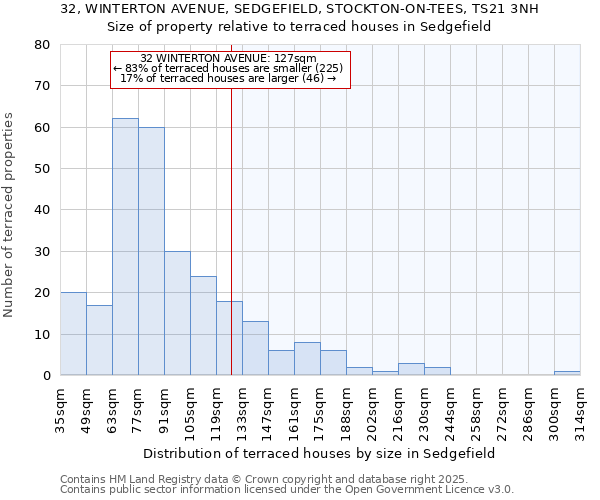 32, WINTERTON AVENUE, SEDGEFIELD, STOCKTON-ON-TEES, TS21 3NH: Size of property relative to terraced houses houses in Sedgefield