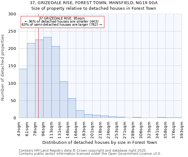37, GRIZEDALE RISE, FOREST TOWN, MANSFIELD, NG19 0GA: Size of property relative to detached houses houses in Forest Town