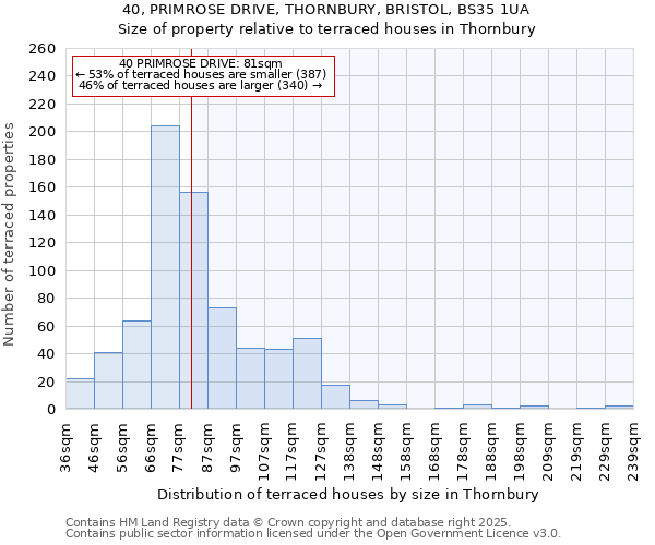40, PRIMROSE DRIVE, THORNBURY, BRISTOL, BS35 1UA: Size of property relative to terraced houses houses in Thornbury