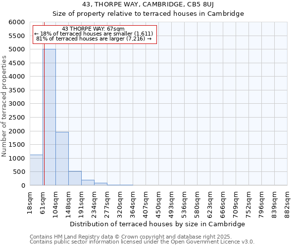 43, THORPE WAY, CAMBRIDGE, CB5 8UJ: Size of property relative to terraced houses houses in Cambridge
