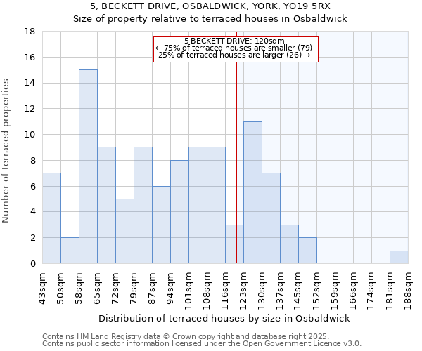 5, BECKETT DRIVE, OSBALDWICK, YORK, YO19 5RX: Size of property relative to terraced houses houses in Osbaldwick