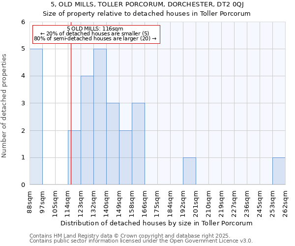 5, OLD MILLS, TOLLER PORCORUM, DORCHESTER, DT2 0QJ: Size of property relative to detached houses houses in Toller Porcorum