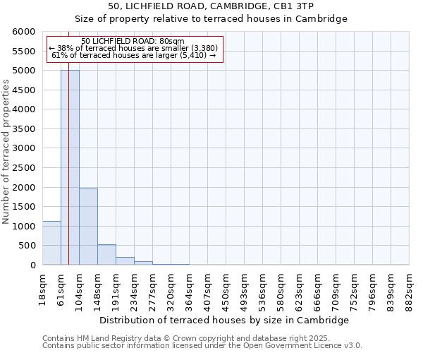 50, LICHFIELD ROAD, CAMBRIDGE, CB1 3TP: Size of property relative to terraced houses houses in Cambridge