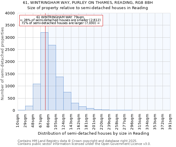 61, WINTRINGHAM WAY, PURLEY ON THAMES, READING, RG8 8BH: Size of property relative to semi-detached houses houses in Reading