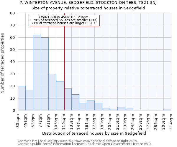 7, WINTERTON AVENUE, SEDGEFIELD, STOCKTON-ON-TEES, TS21 3NJ: Size of property relative to terraced houses houses in Sedgefield
