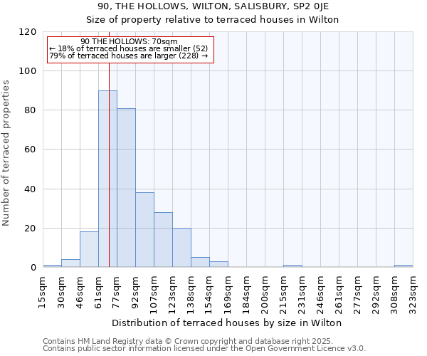 90, THE HOLLOWS, WILTON, SALISBURY, SP2 0JE: Size of property relative to terraced houses houses in Wilton