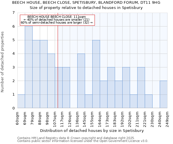 BEECH HOUSE, BEECH CLOSE, SPETISBURY, BLANDFORD FORUM, DT11 9HG: Size of property relative to detached houses houses in Spetisbury