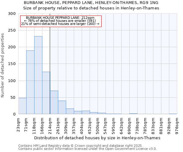 BURBANK HOUSE, PEPPARD LANE, HENLEY-ON-THAMES, RG9 1NG: Size of property relative to detached houses houses in Henley-on-Thames