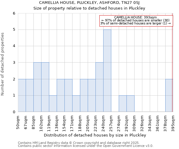 CAMELLIA HOUSE, PLUCKLEY, ASHFORD, TN27 0SJ: Size of property relative to detached houses houses in Pluckley