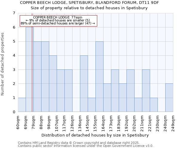 COPPER BEECH LODGE, SPETISBURY, BLANDFORD FORUM, DT11 9DF: Size of property relative to detached houses houses in Spetisbury