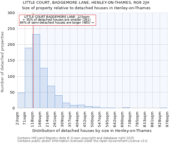 LITTLE COURT, BADGEMORE LANE, HENLEY-ON-THAMES, RG9 2JH: Size of property relative to detached houses houses in Henley-on-Thames