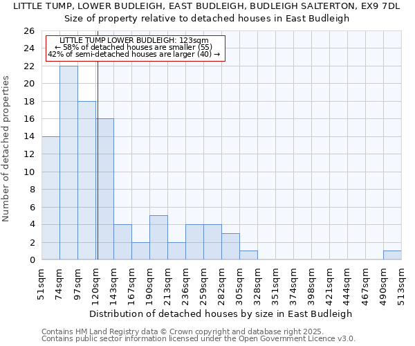 LITTLE TUMP, LOWER BUDLEIGH, EAST BUDLEIGH, BUDLEIGH SALTERTON, EX9 7DL: Size of property relative to detached houses houses in East Budleigh