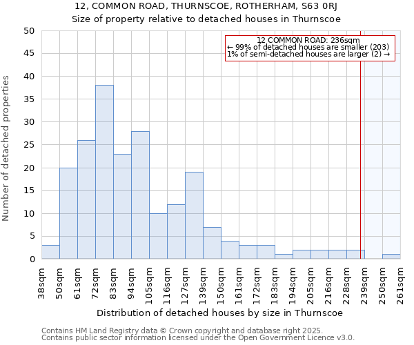 12, COMMON ROAD, THURNSCOE, ROTHERHAM, S63 0RJ: Size of property relative to detached houses houses in Thurnscoe