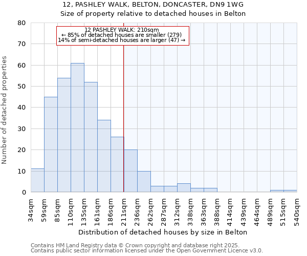 12, PASHLEY WALK, BELTON, DONCASTER, DN9 1WG: Size of property relative to detached houses houses in Belton