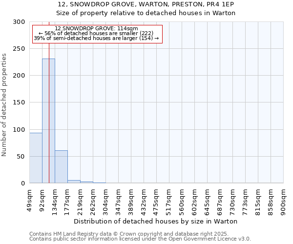 12, SNOWDROP GROVE, WARTON, PRESTON, PR4 1EP: Size of property relative to detached houses houses in Warton