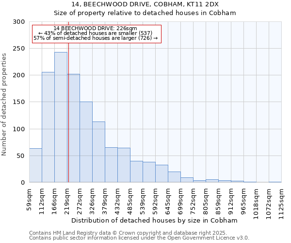 14, BEECHWOOD DRIVE, COBHAM, KT11 2DX: Size of property relative to detached houses houses in Cobham