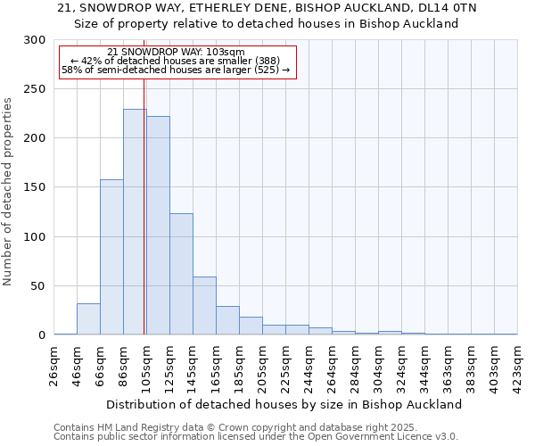 21, SNOWDROP WAY, ETHERLEY DENE, BISHOP AUCKLAND, DL14 0TN: Size of property relative to detached houses houses in Bishop Auckland