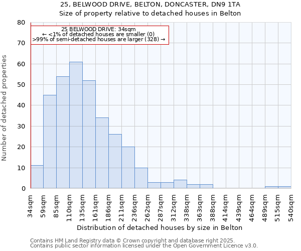 25, BELWOOD DRIVE, BELTON, DONCASTER, DN9 1TA: Size of property relative to detached houses houses in Belton