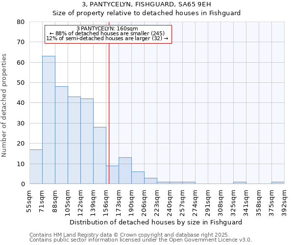 3, PANTYCELYN, FISHGUARD, SA65 9EH: Size of property relative to detached houses houses in Fishguard