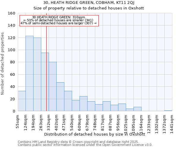 30, HEATH RIDGE GREEN, COBHAM, KT11 2QJ: Size of property relative to detached houses houses in Oxshott