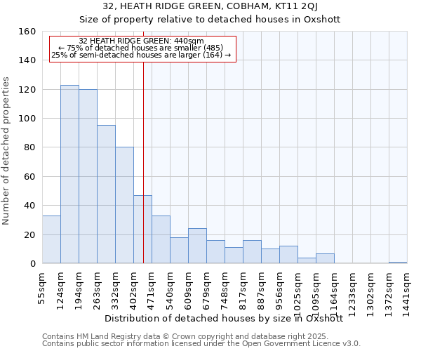 32, HEATH RIDGE GREEN, COBHAM, KT11 2QJ: Size of property relative to detached houses houses in Oxshott
