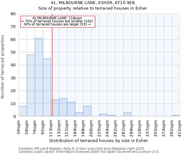 41, MILBOURNE LANE, ESHER, KT10 9EB: Size of property relative to terraced houses houses in Esher