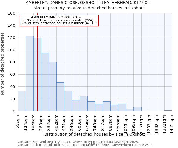 AMBERLEY, DANES CLOSE, OXSHOTT, LEATHERHEAD, KT22 0LL: Size of property relative to detached houses houses in Oxshott