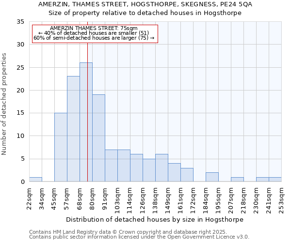 AMERZIN, THAMES STREET, HOGSTHORPE, SKEGNESS, PE24 5QA: Size of property relative to detached houses houses in Hogsthorpe